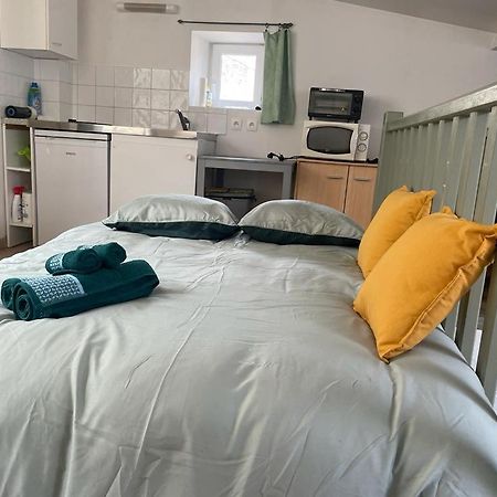 Ferienwohnung Face Au Canal Du Midi Carcassonne Exterior foto