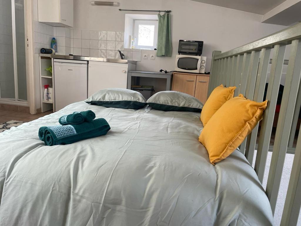 Ferienwohnung Face Au Canal Du Midi Carcassonne Exterior foto