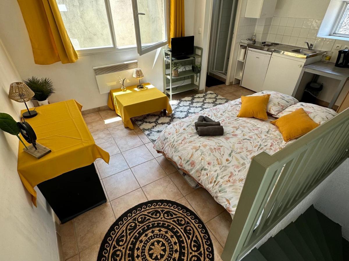 Ferienwohnung Face Au Canal Du Midi Carcassonne Exterior foto