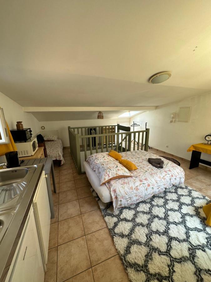 Ferienwohnung Face Au Canal Du Midi Carcassonne Exterior foto