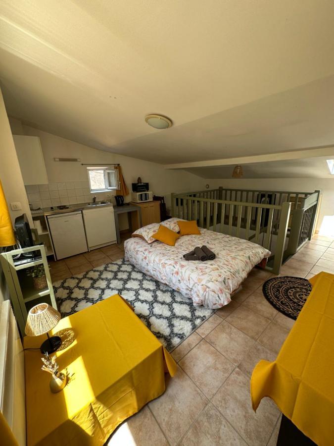 Ferienwohnung Face Au Canal Du Midi Carcassonne Exterior foto